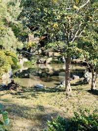 Tranquility in Kyoto – A Temple Garden Stroll