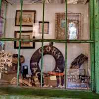 Brighton Museum & Art Gallery