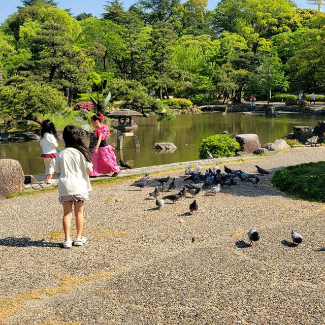 Springtime Serenity at Tsuruma Park, Nagoya