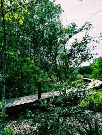 香港濕地公園｜生態與親子一日遊