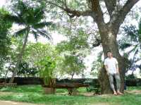 Him Wang เป็นคาเฟ่บรรยากาศดีริมแม่น้ำวัง