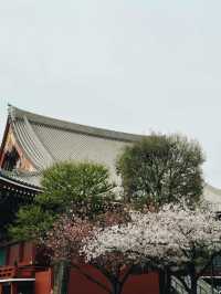 東京｜都營淺草線｜傳統與現代交織的紅色旅程
