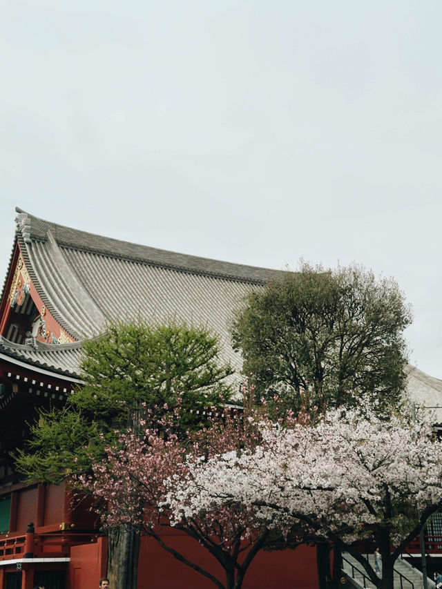 東京｜都營淺草線｜傳統與現代交織的紅色旅程