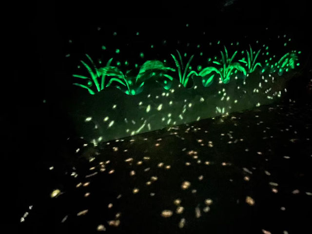 日踏桐花毯，夜數螢火星的西湖渡假村