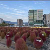 イェサン聖堂