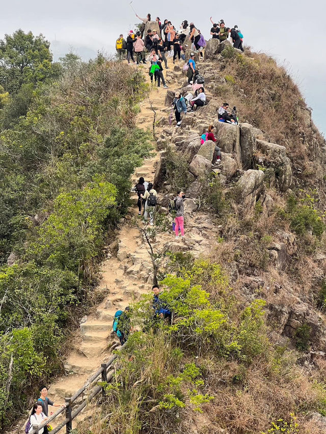 🗺️** 獅子山行山分享：感受香港精神的壯麗之旅**🗺️
