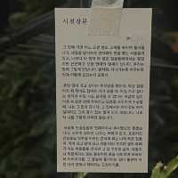 재즈와 커피가 흐르는 감성 공간