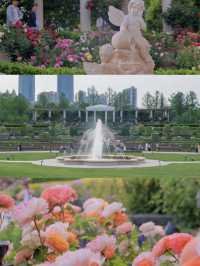 🌼Flower Spotting Guide – Shanghai Expo Cultural Park Edition🌼