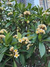 荃灣西 神秘化石公園 如心園