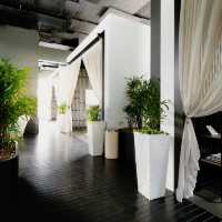 Stylish Urban Escape at Studio M Hotel