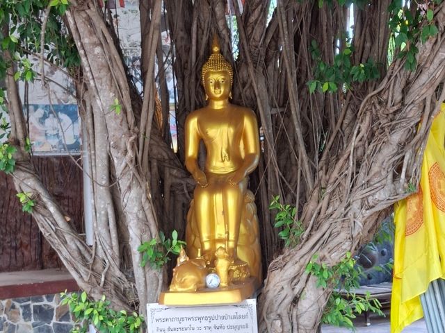 วัดแก่งกระจาน เพชรบุรี