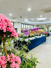 Pyeongtaek in Bloom: A Tranquil Cherry Blossom Retreat