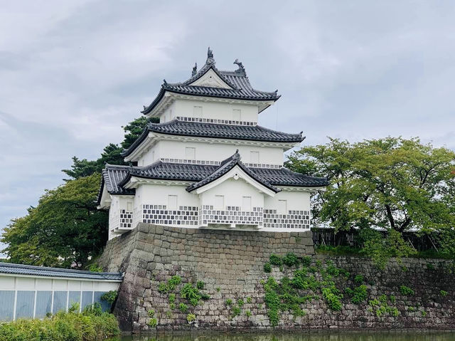 The Shibata Castle Ruins