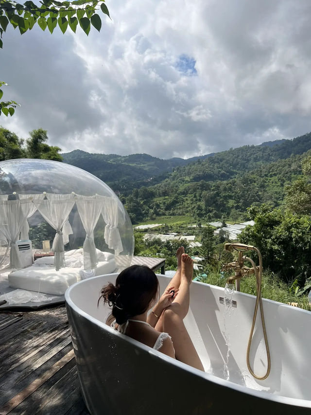 North Star Valley🌧️เชียงใหม่ฤดูฝน บับเบิลกลางป่า
