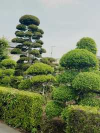 A beautiful place in Japan