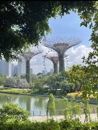 新加坡雲霧林｜高空瀑布＋冷氣森林夢幻又涼爽