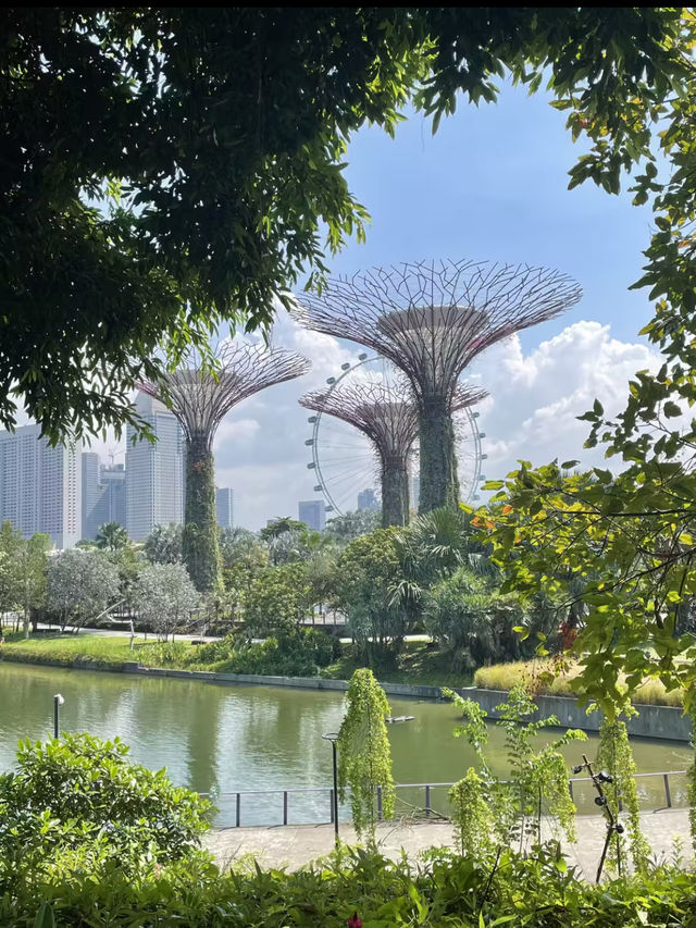 新加坡雲霧林｜高空瀑布＋冷氣森林夢幻又涼爽