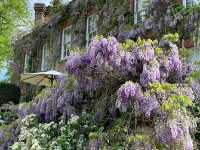 Pashley Manor Gardens – A Timeless English Country Garden