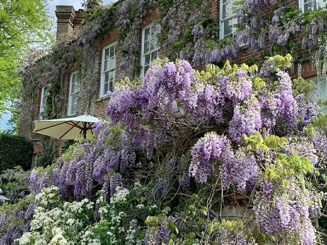 Pashley Manor Gardens – A Timeless English Country Garden