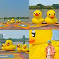 มาถ่ายรูปกับน้องเป็ดเหลือง ที่อุดรกันนน ✨🐤
