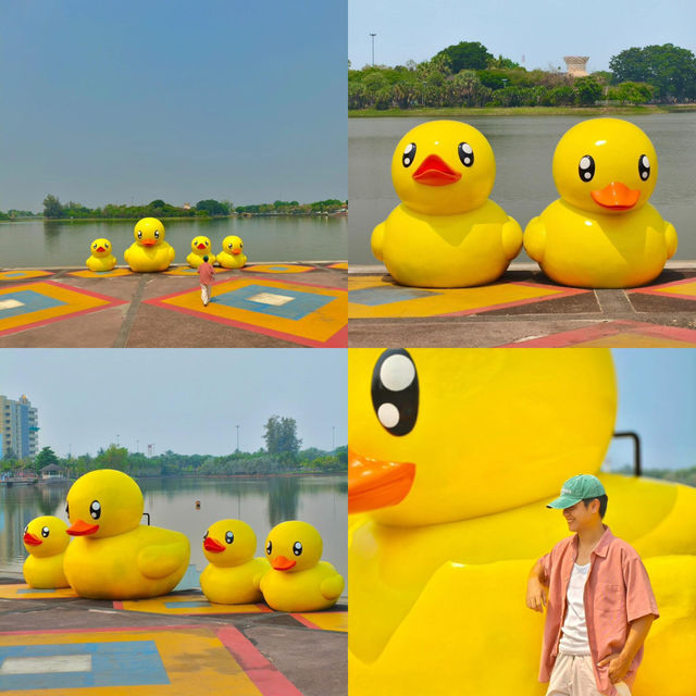 มาถ่ายรูปกับน้องเป็ดเหลือง ที่อุดรกันนน ✨🐤