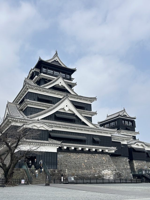 Kumamoto castle in japan 🇯🇵
