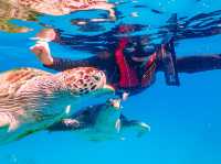 Kuala Terengganu 4 Days Itinerary