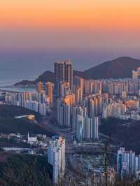 釜山🇰🇷 度過專屬夏日