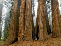Deep into the Wilderness: Hiking Kings Canyon’s Trails