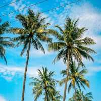 Lombok’s Secret Spring Retreats