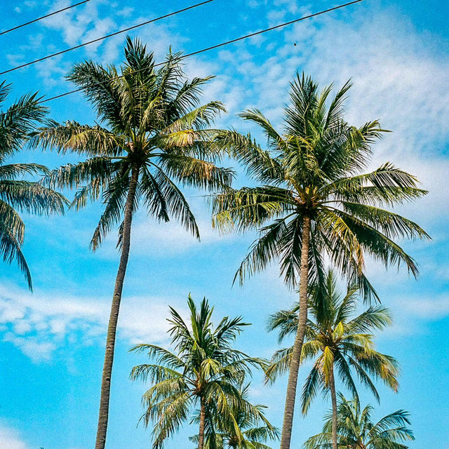 Lombok’s Secret Spring Retreats