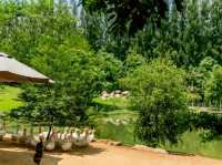 คาเฟ่สุดฮิต ที่เขาใหญ่ 