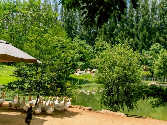 คาเฟ่สุดฮิต ที่เขาใหญ่ 