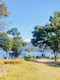 A Peaceful Getaway: My Visit to Daejeon Meditation Garden