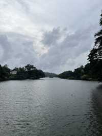 Top Places to Visit in Kandy – Sri Lanka's Cultural Capital