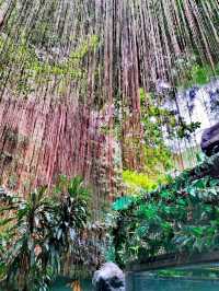 馬尼拉海洋公園