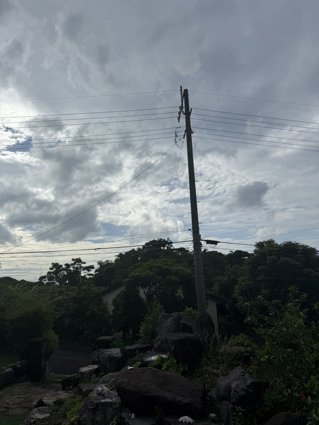【屋久島】パワーを頂く旅