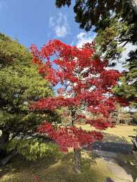 【青森】伝統的な庭園