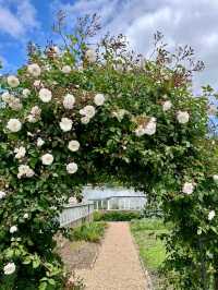Hinton Ampner: Grace, Gardens, and Glorious English Countryside