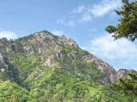 Above the Clouds: A Soulful Journey Through Seoraksan National Park