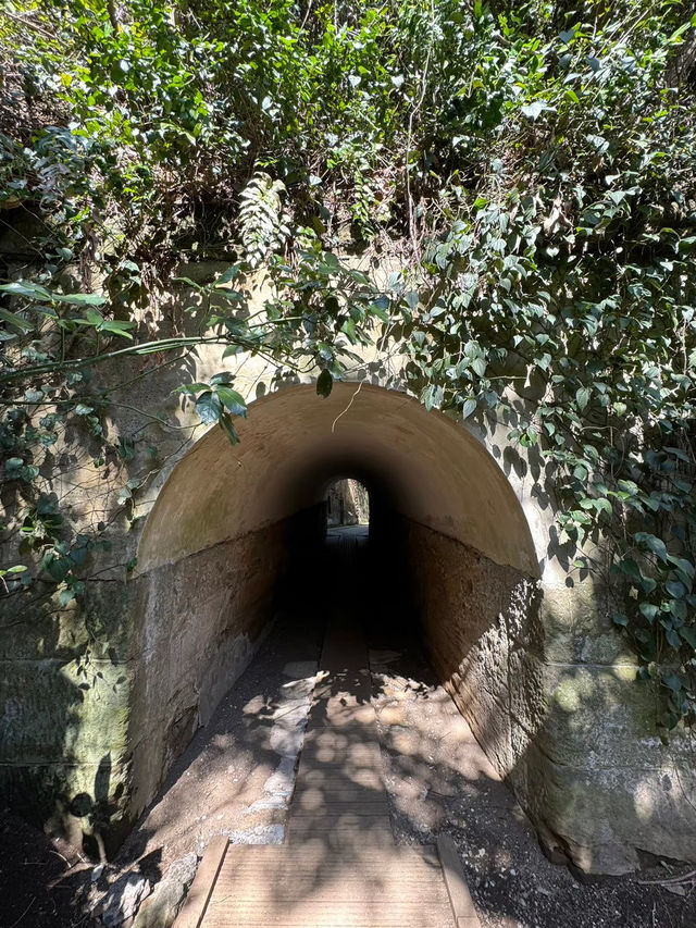東京からすぐ行ける秘境🫣🌿豊かな自然と済んだ海の美しい無人島🏝