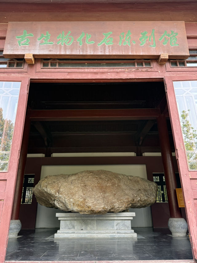 Thousand Buddha Cliff in Guangyuan, Sichuan