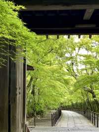 A Peaceful Day Strolling in Nagaokakyo