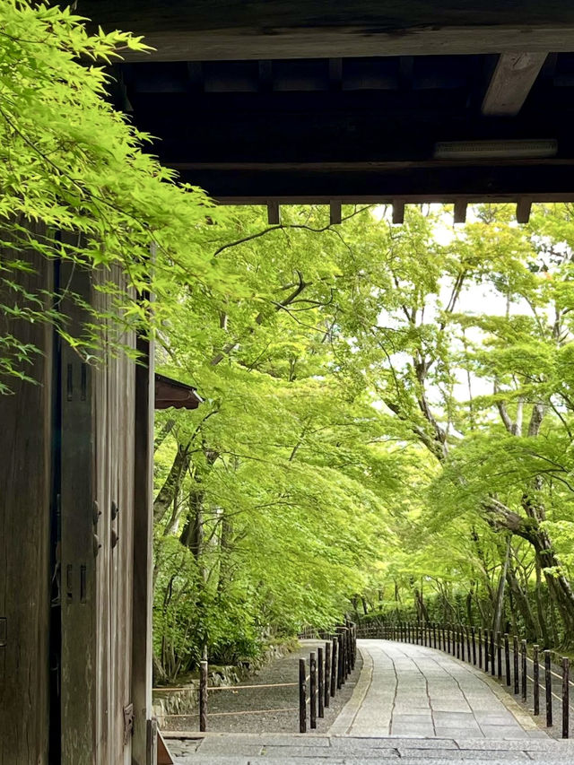 A Peaceful Day Strolling in Nagaokakyo