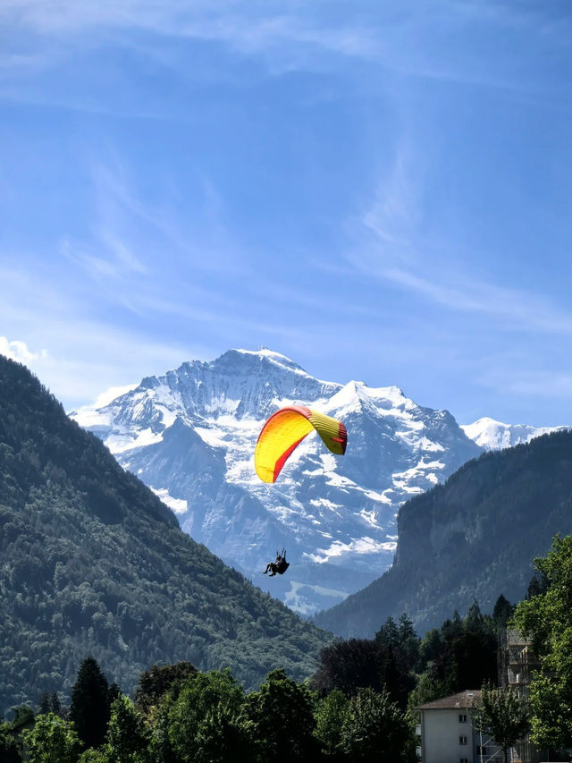 🇨🇭여름 스위스 = 지상낙원🌿 인생에서 꼭 한 번! 인터라켄 완전 정복 가이드✨
