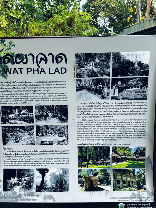 Favorite short hike in chiang mai