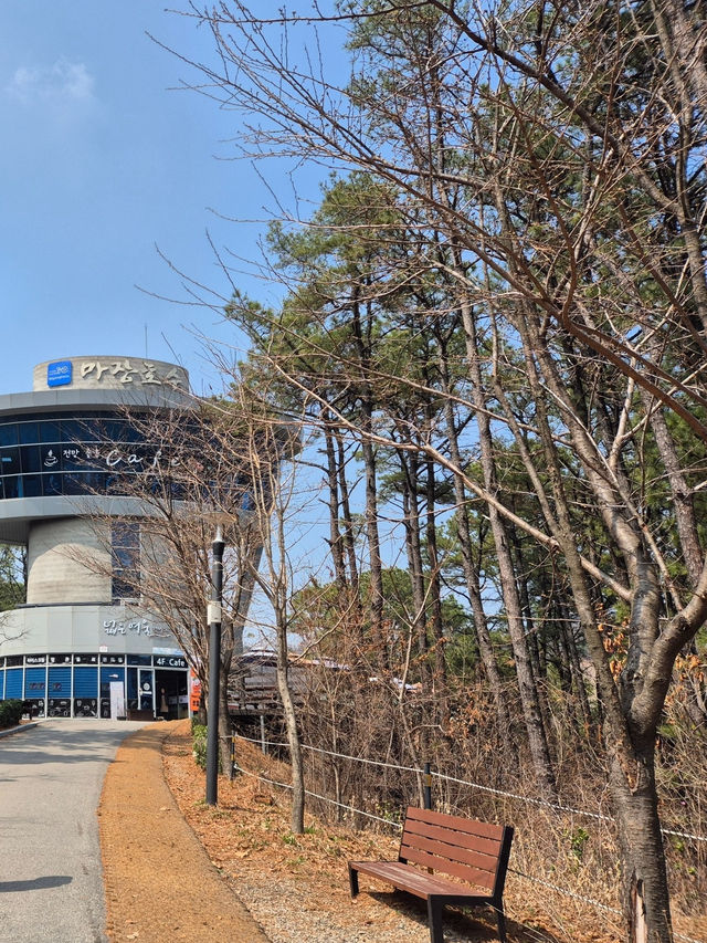 🌿 호수 위를 걷다, 파주 마장호수에서의 하루 🌉