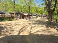 Korean Folk Village ♡หมู่บ้านวัฒนธรรมเกาหลี~ยงอิน