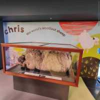 National Museum of Australia – Canberra, ACT