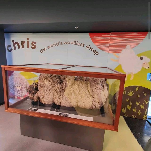 National Museum of Australia – Canberra, ACT